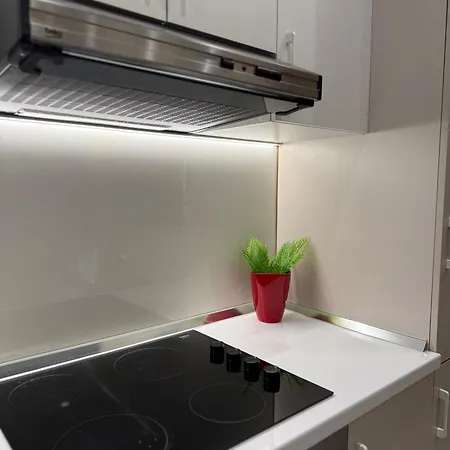 Classy Loui 2 Apartment